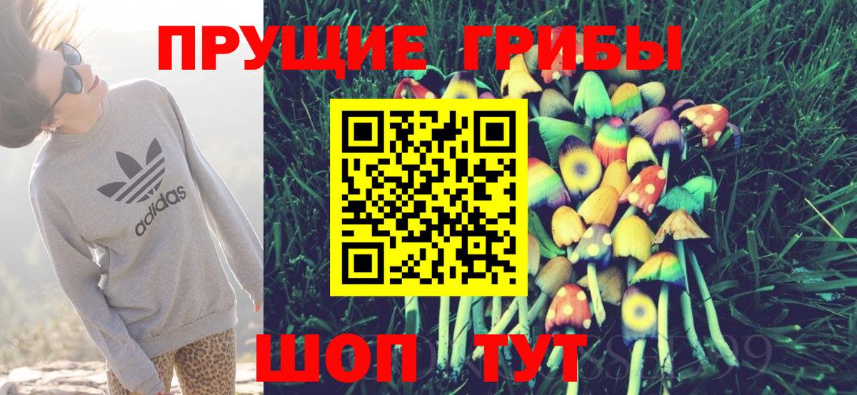 Жигулёвск  Псилоцибиновые грибы Psilocybine cubensis  Псилоцибиновые грибы MAGIC MUSHROOMS  Вход с VPN 